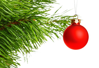 Image showing red decoration ball on pine branch