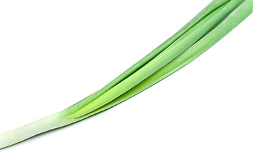 Image showing Fresh Leek