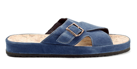 Image showing blue slipper