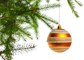 Image showing decoration ball on fir branch