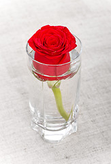 Image showing Red Rose in Glass