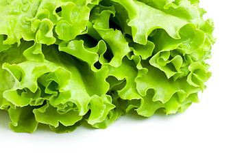 Image showing Green Lettuce