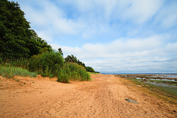 Image showing Beach In Summer