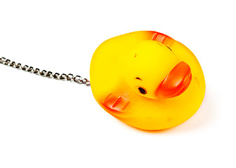 Image showing toy duck for bath