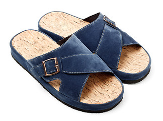 Image showing two blue slippers