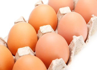 Image showing Eggs In Tray