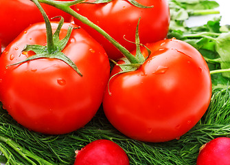 Image showing vegetables for salad