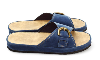 Image showing blue slippers