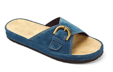 Image showing blue slipper