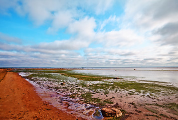 Image showing Beach In Summer