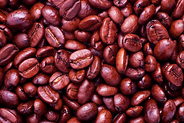 Image showing Coffee Beans