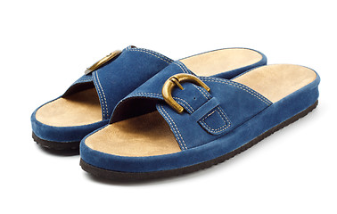 Image showing two blue slippers