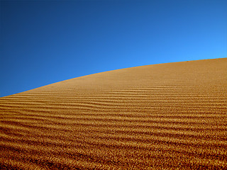 Image showing Sand dunes