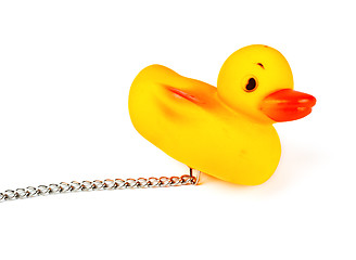 Image showing toy duck for bath