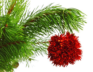 Image showing decoration ball on pine branch