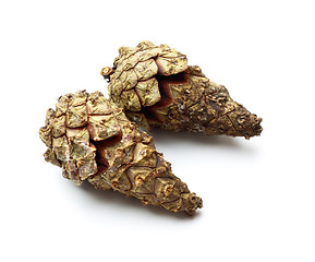 Image showing pinecones