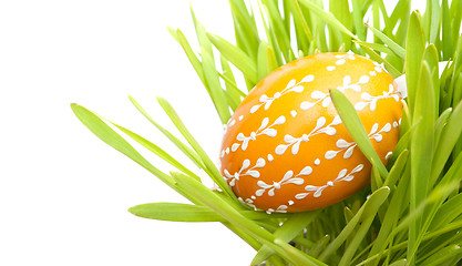 Image showing Easter Egg in Grass