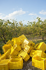 Image showing Harvest