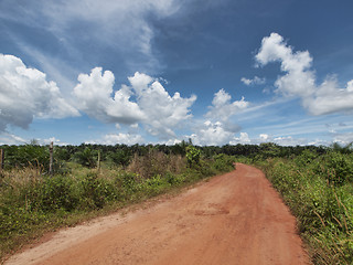 Image showing Tropical countryside landscape