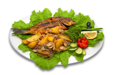 Image showing whole griled dorada fish