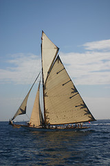 Image showing sailing boat in regata