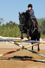 Image showing jumping