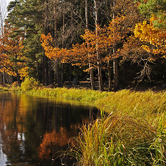 Image showing Lake landscape