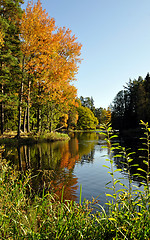 Image showing Lake landscape