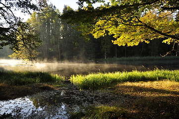 Image showing Lake landscape