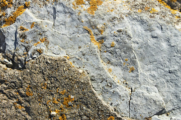 Image showing Stone partially covered with lichens