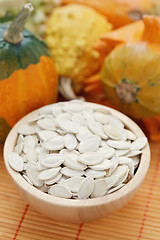 Image showing seeds of pumpkin