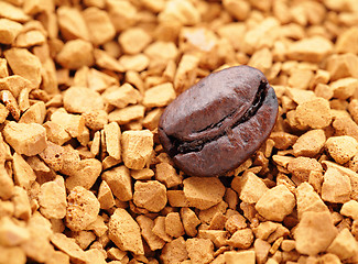 Image showing roasted coffee bean and coffee powder