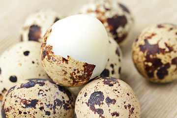 Image showing quail eggs