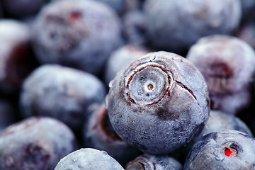 Image showing blueberry