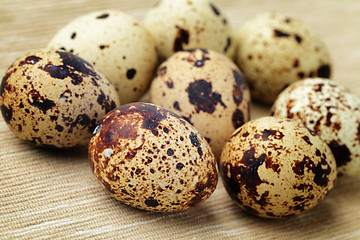 Image showing Group of quail eggs