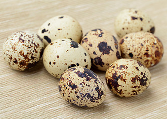 Image showing quail eggs