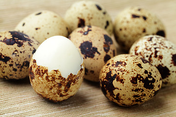 Image showing quail eggs