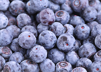 Image showing blueberry