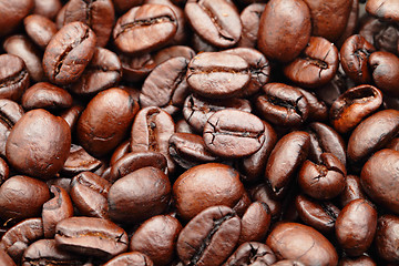 Image showing coffee bean