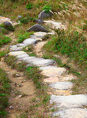 Image showing forest road