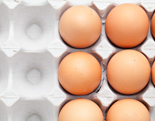 Image showing eggs in box