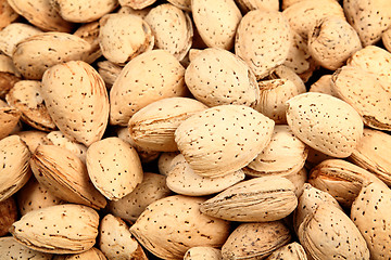 Image showing almond