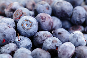 Image showing blueberry