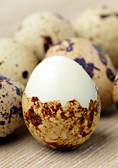 Image showing quail eggs