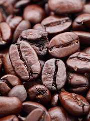 Image showing coffee bean