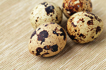 Image showing quail egg