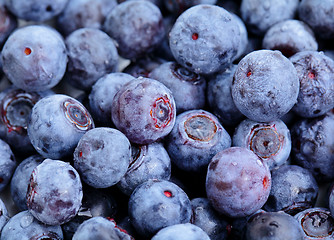 Image showing blueberry