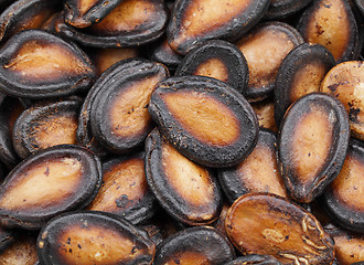 Image showing black melon seed