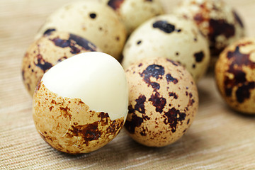 Image showing quail egg