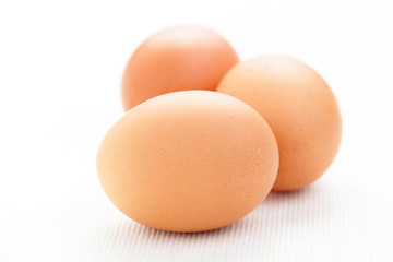 Image showing hens eggs